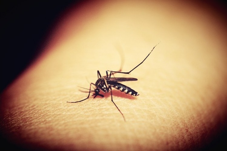 https://radiomodaorioverde.com.br/uploads/news/Jales confirma a primeira morte por dengue neste ano